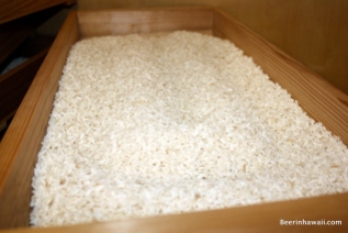 Koji Rice at Hawaiian Shochu Company