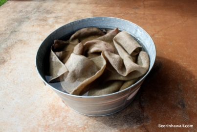 Burlap sacks are soaked in water to help with the steaming process.